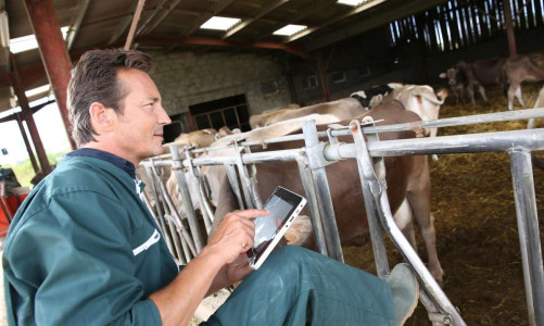 Le secteur agricole : pionnier de la transition numérique