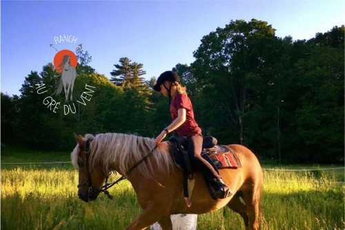 Étude de cas client : Ranch au gré du vent