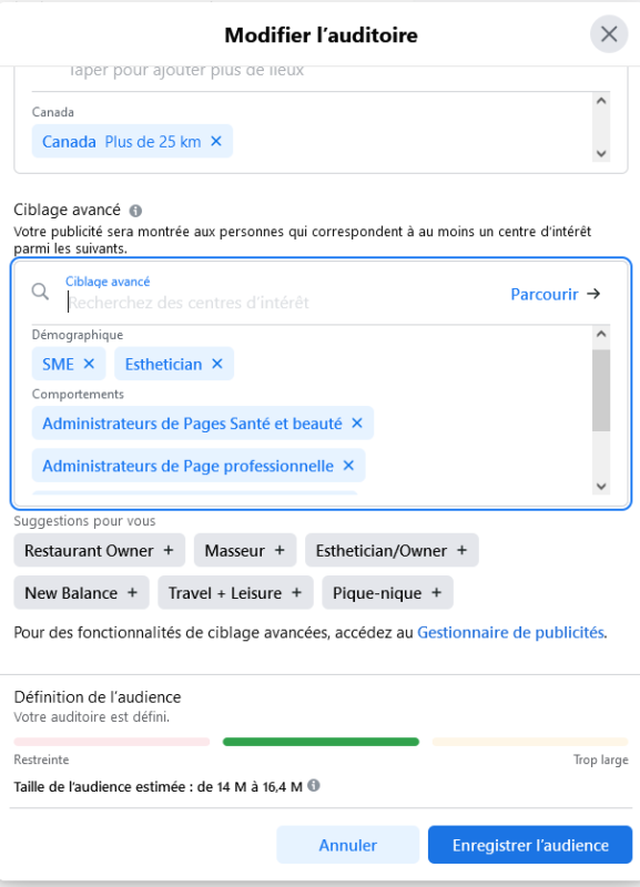 publicité FB_enregistrez l'auditoire